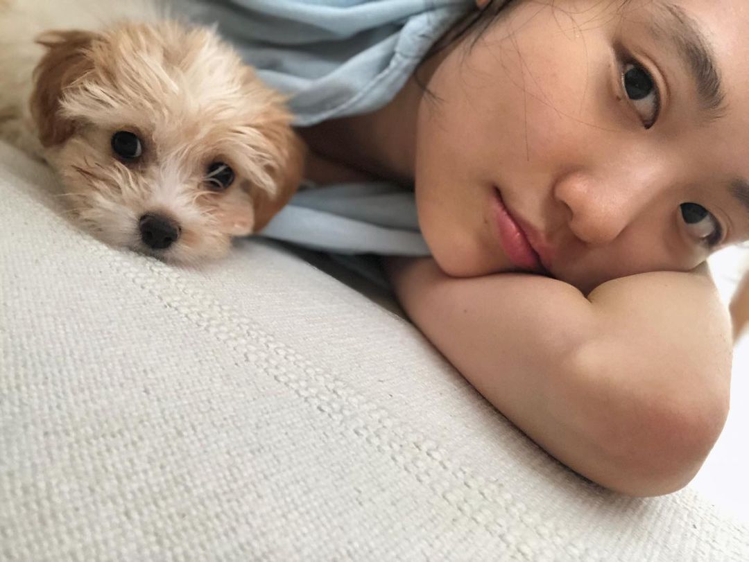 Aktris Song Hee Joon Minta Maaf Setelah Dituduh Meninggalkan Anjingnya