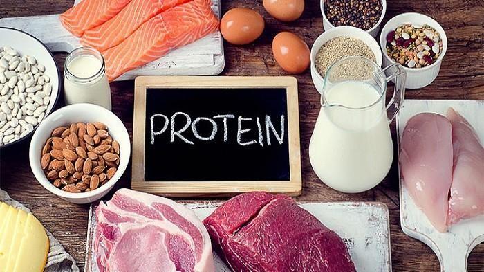 Asupan Protein terbaik Selain Daging