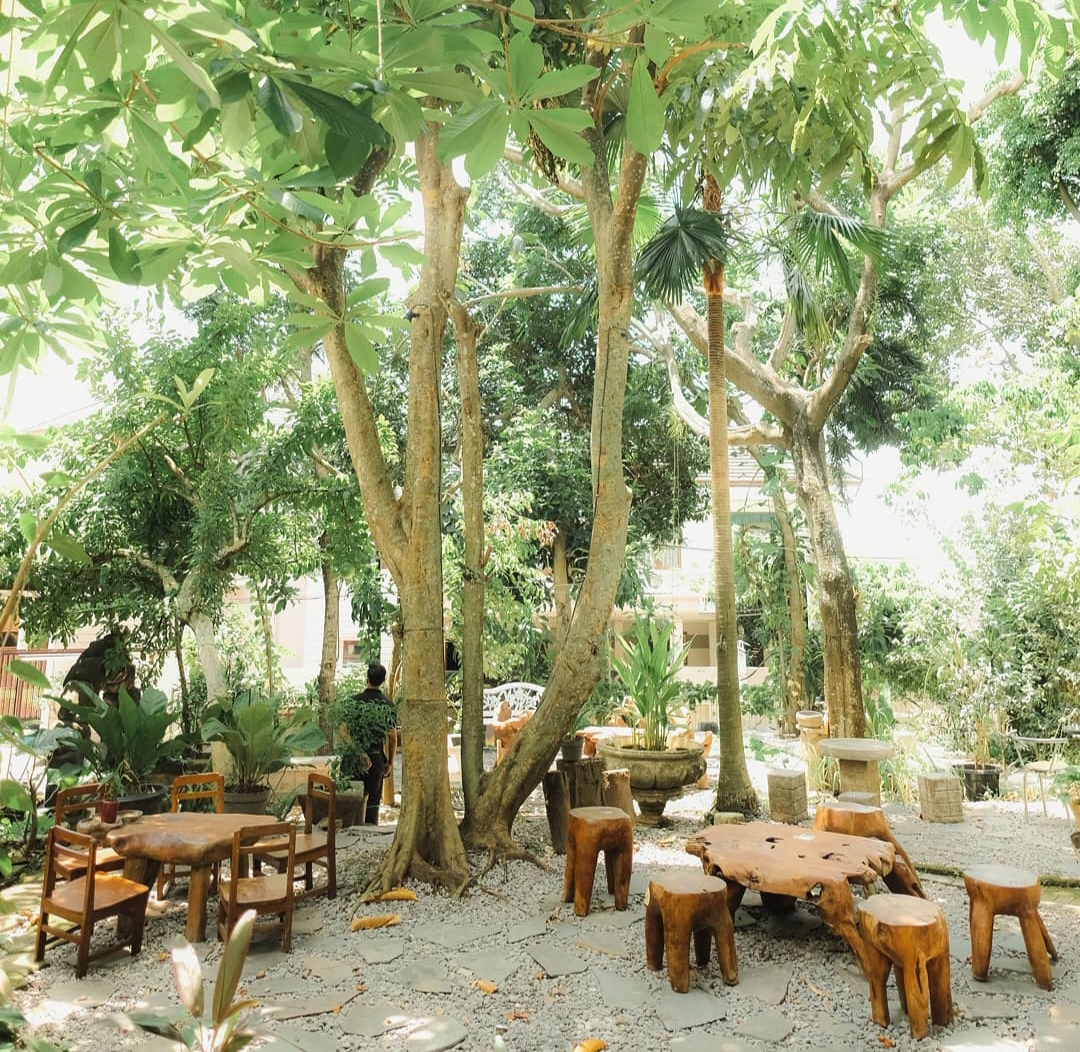 Hidden Gem Ngopi Bawah Pohon di Semarang