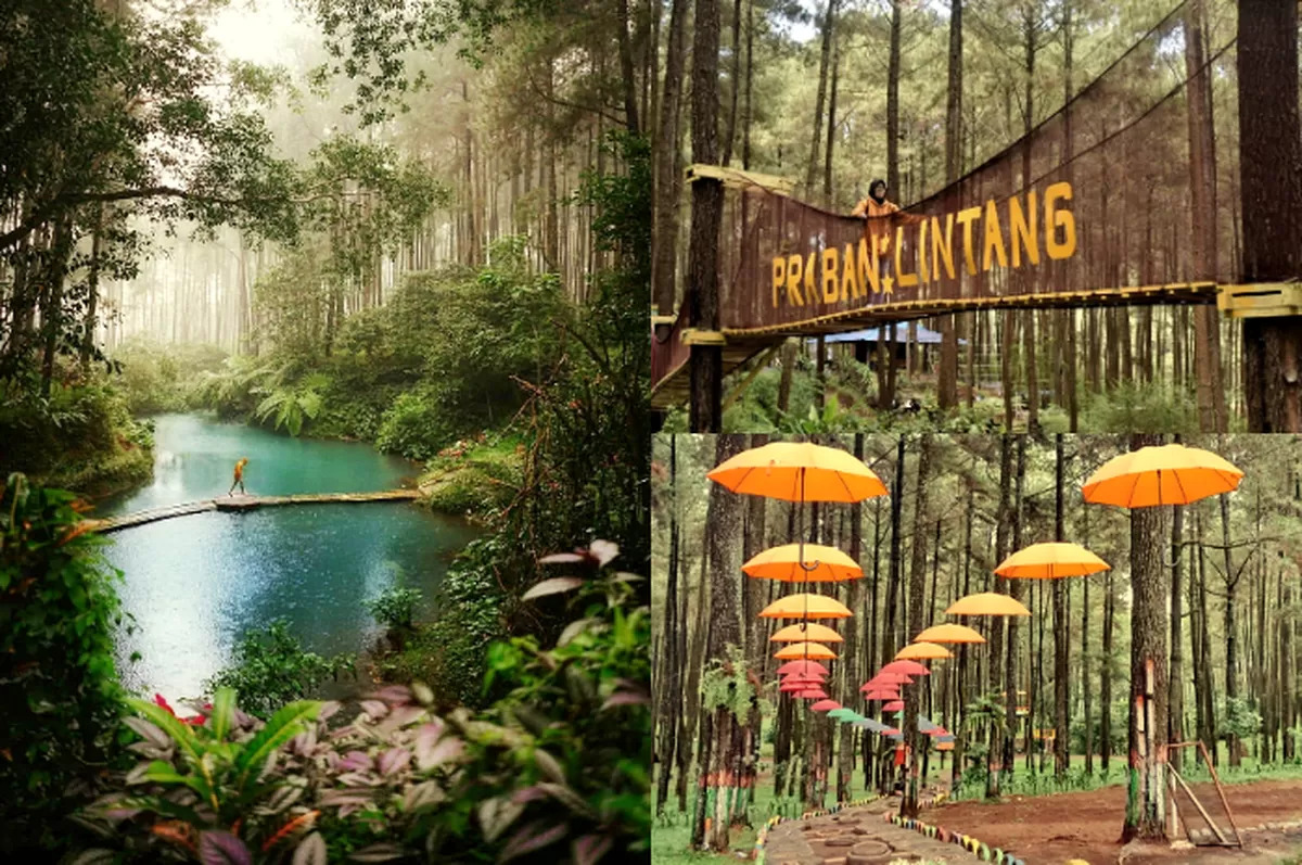 Hidden Gem Tegal yang Vibes-nya Kayak Negeri Dongeng!