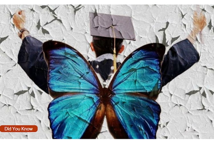 Jangan Takut Jadi “Mahasiswa Kupu-kupu”? Ini 5 Manfaatnya