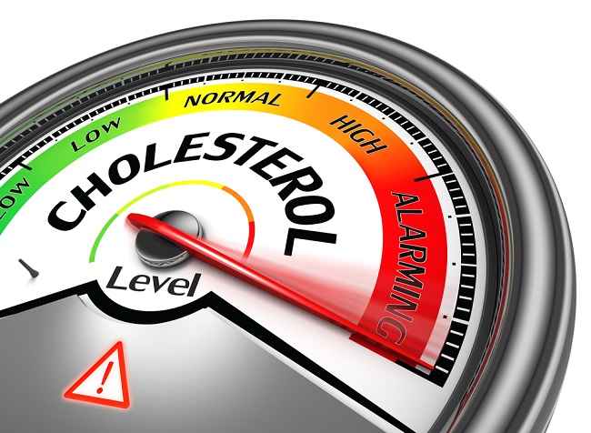 Kolesterolmu TInggi ? Berikut Makanan dan Minuman yang Membantu Menurunkan Kadar Kolesterol