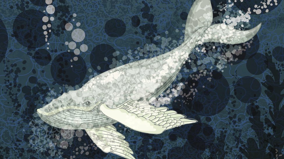 Mengenal Blue Whale Challenge Yang Viral Dan Ternyata Membahayakan
