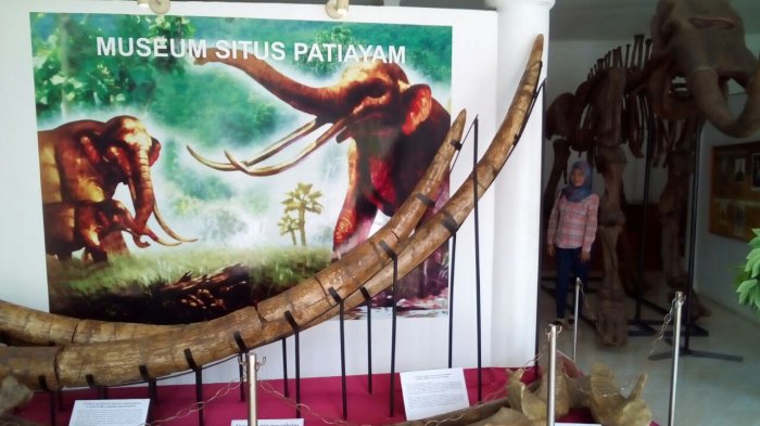 Museum Situs Patiayam diajukan Pemkab Sebagai Kawasan Cagar Budaya di Kudus