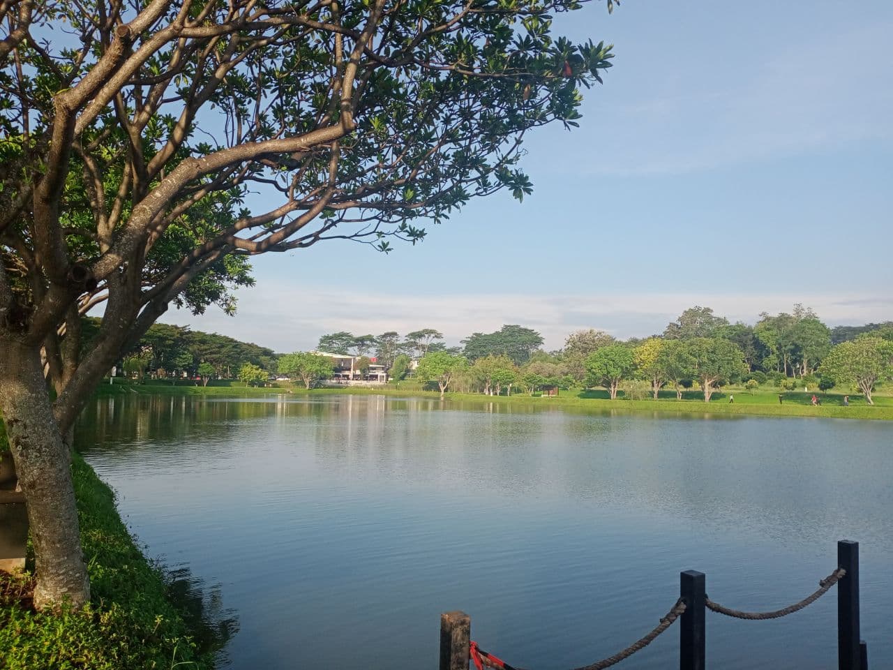 Olahraga Santai Sambil Menikmati Indahnya Danau di Semarang