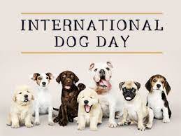 Sejarah Hari Anjing Internasional Yang Dirayakan Setiap 26 Agustus