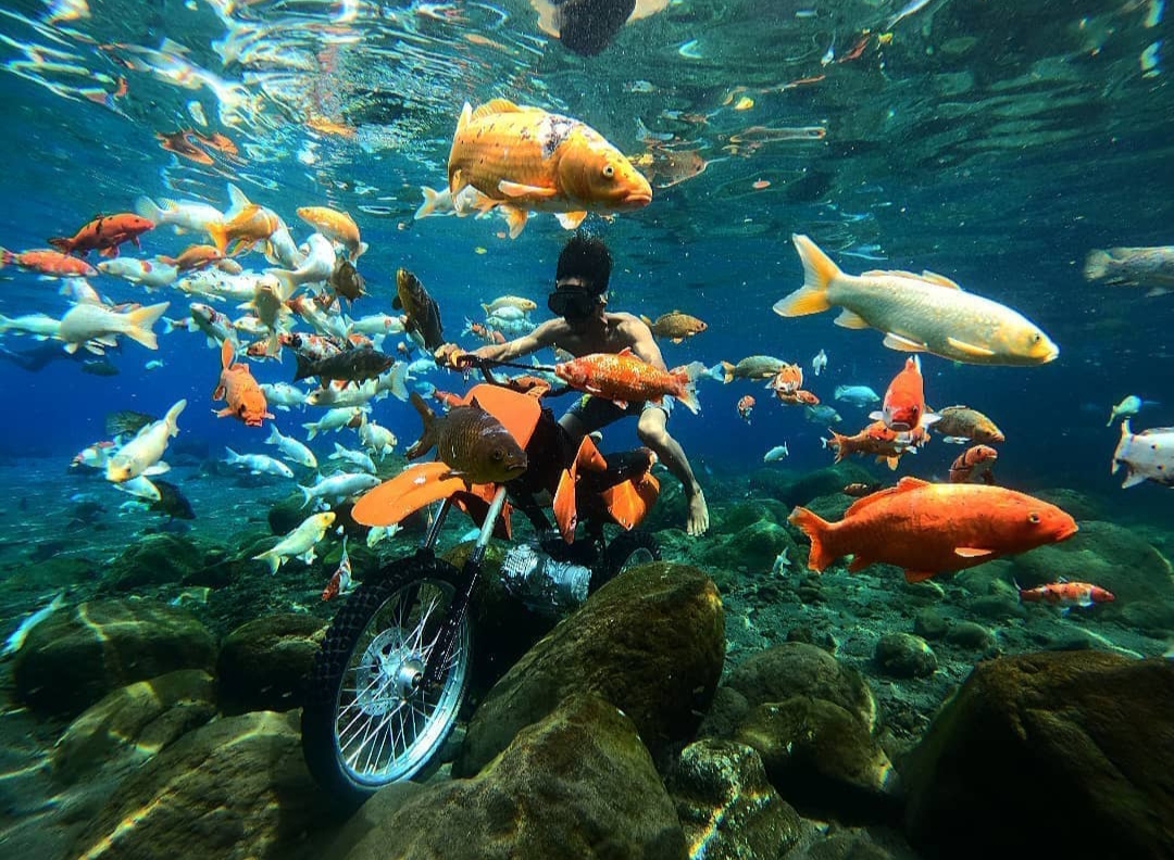 Sensasi Spot Underwater Selfi di Umbul Ponggok Klaten