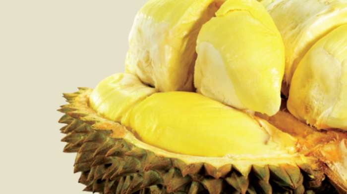 Suka Dengan Durian?,  Ini Dia Manfaatnya yang Kita Tidak Ketahui 